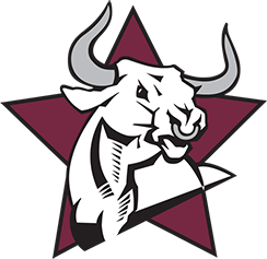 School logo for Wiregrass Ranch High School